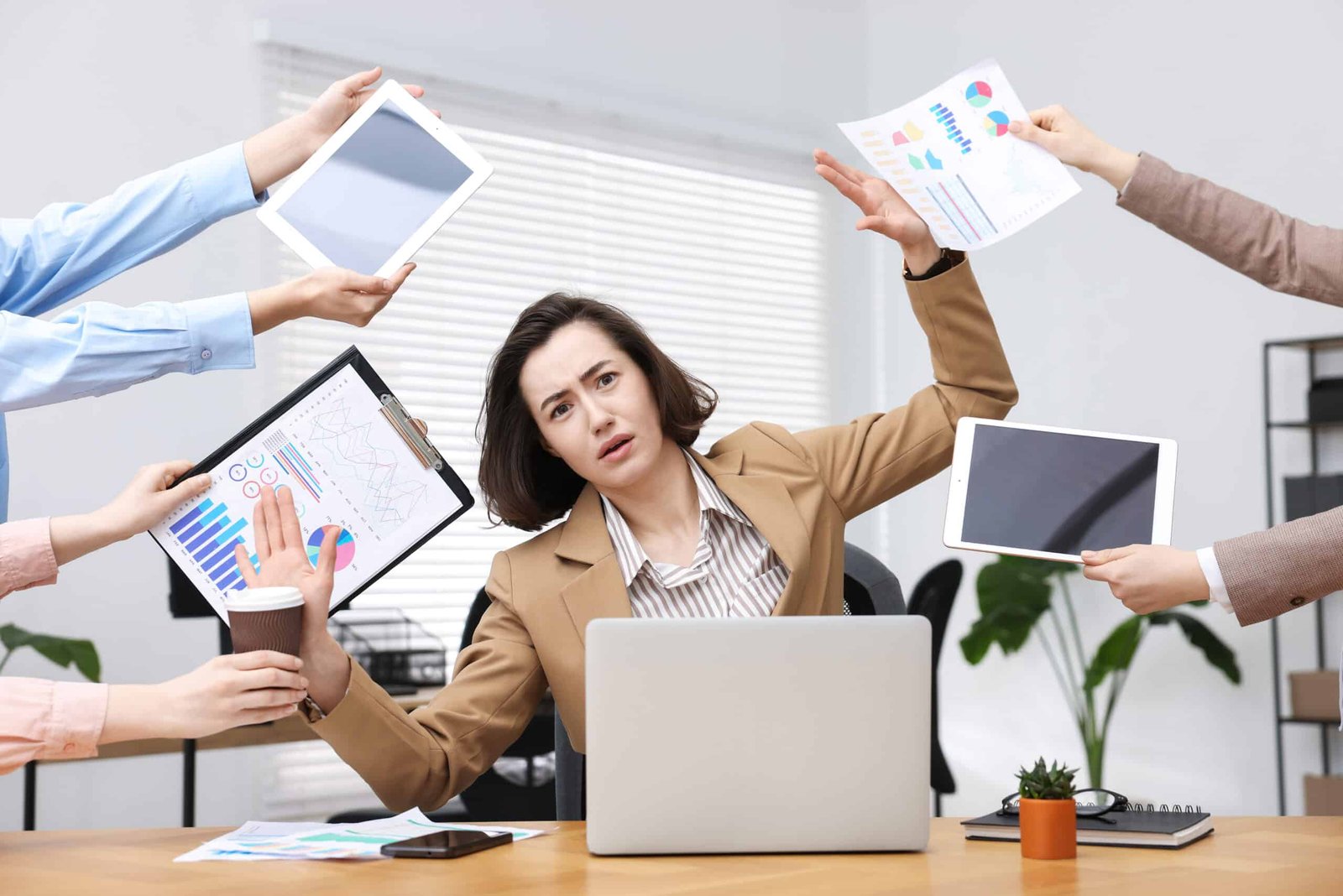 Les 4 piliers de la pluriactivité en France